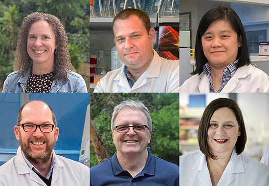 Monash BDI’s NHMRC Ideas Grants recipients for funding in 2026 (L-R): Professors Hayley Newton (two projects), Chen Davidovich, Lee Wong, Stephen Turner, Rob Widdop and Helen Abud.
