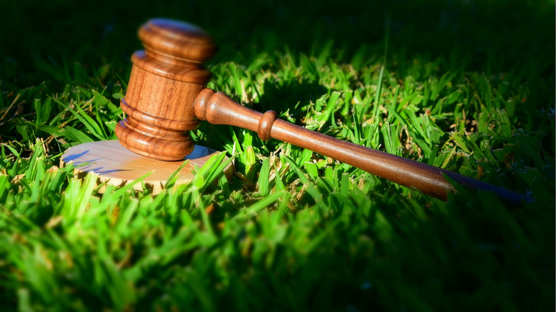 Environmental Law