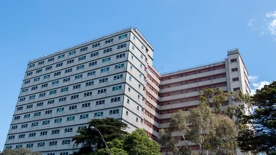 Melbourne public housing towers. Photo: Matt Grehan via Getty