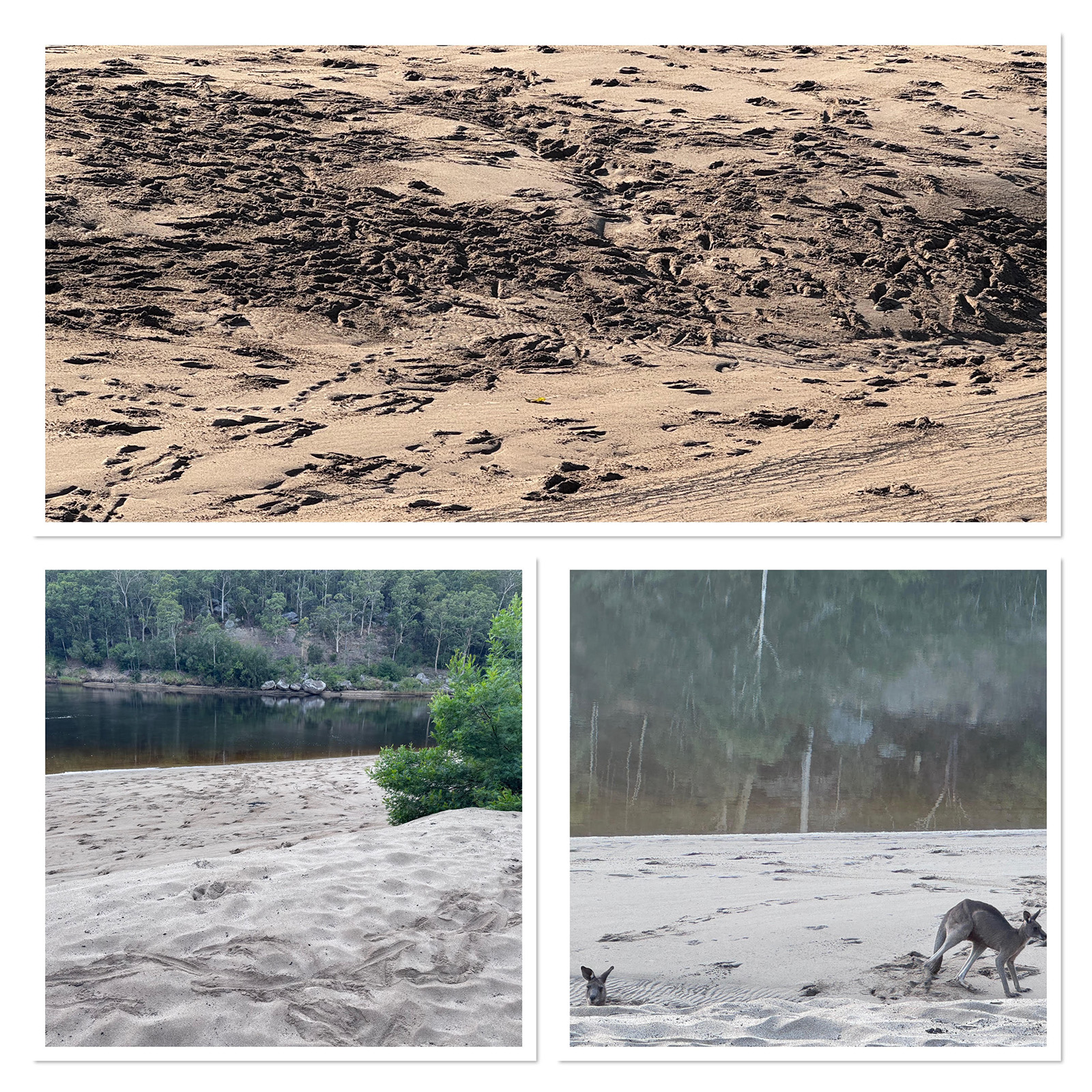 Intergenerational Tracks