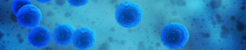 Stem cells and regenerative medicine