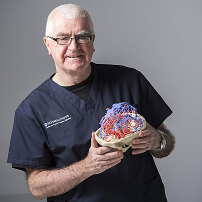 Professor Paul McMenamin