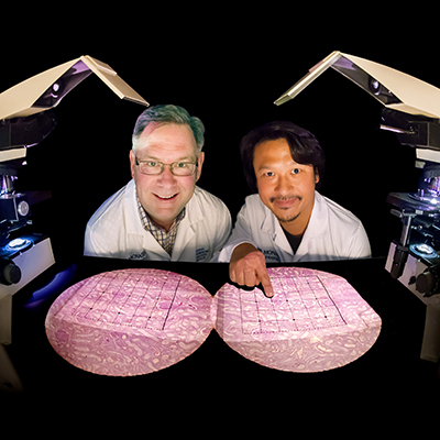Professor John Bertram from Monash BDI and Dr Go Kanzaki from Jikei University School of Medicine in Tokyo