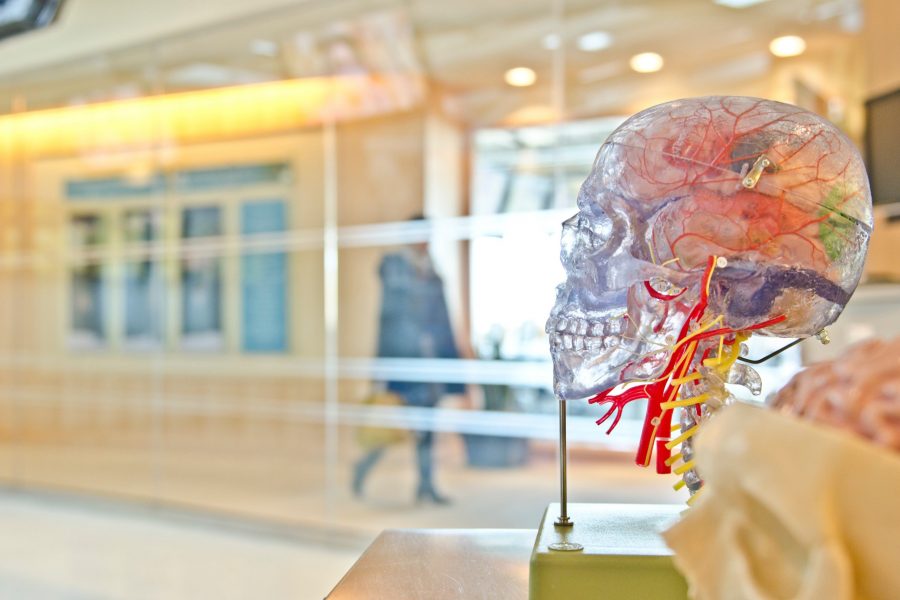 Measuring consciousness: a philosophical approach to the science of consciousness