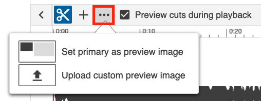 Panopto editor more options