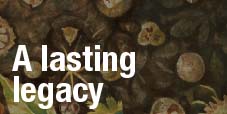 A lasting legacy