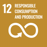 Sustainable Development Goal 12: responsible consumption and production
