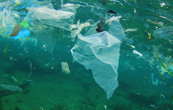 Rubbish floating in water