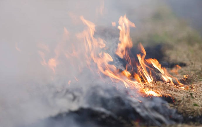 Fire