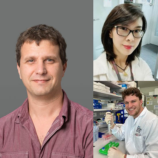Lead author, Associate Professor Joseph (Sefi) Rosenbluh (L), and co-first authors Dr Ling Liu (top) and PhD student Matthew Neve (bottom).