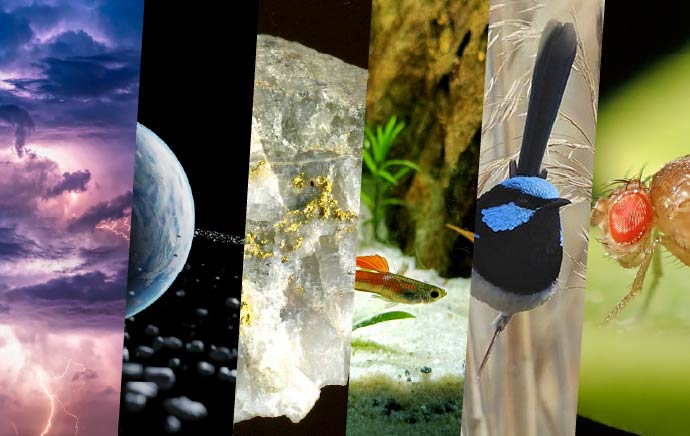Research Highlights 2024