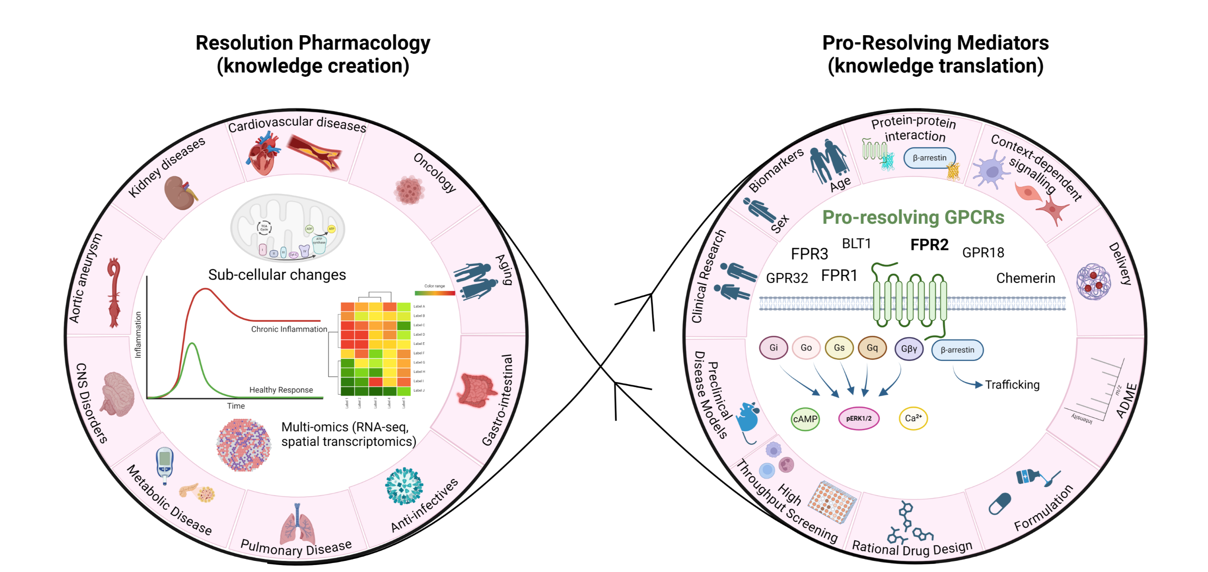 Pro resolving GPCR