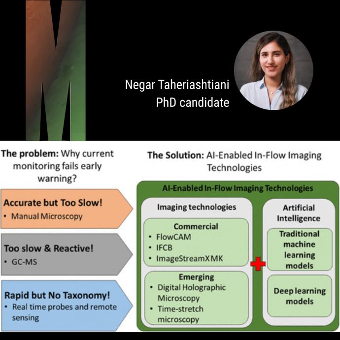 Negar Taheriashtiani Phd candidate