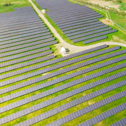 Optimising for Climate Change Optimising for Climate Change