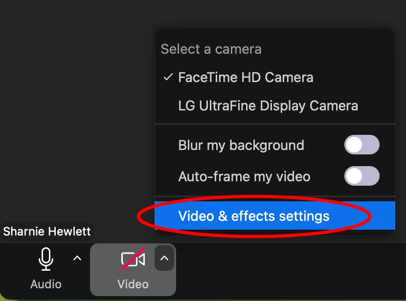Zoom screenshot