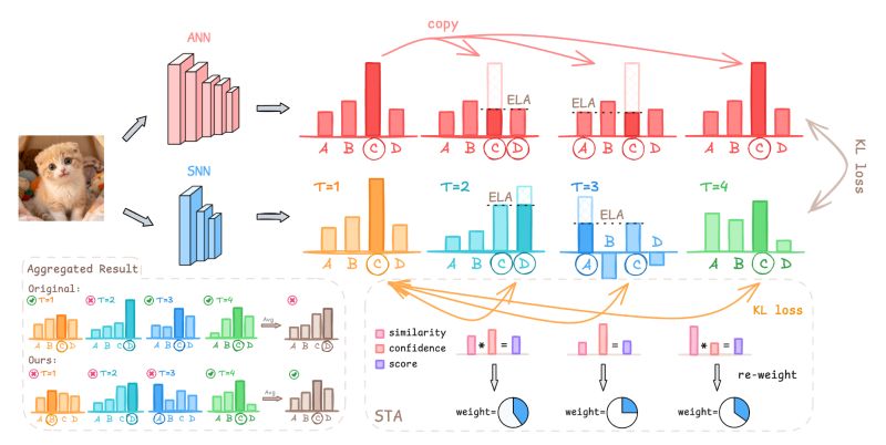 Paper diagram