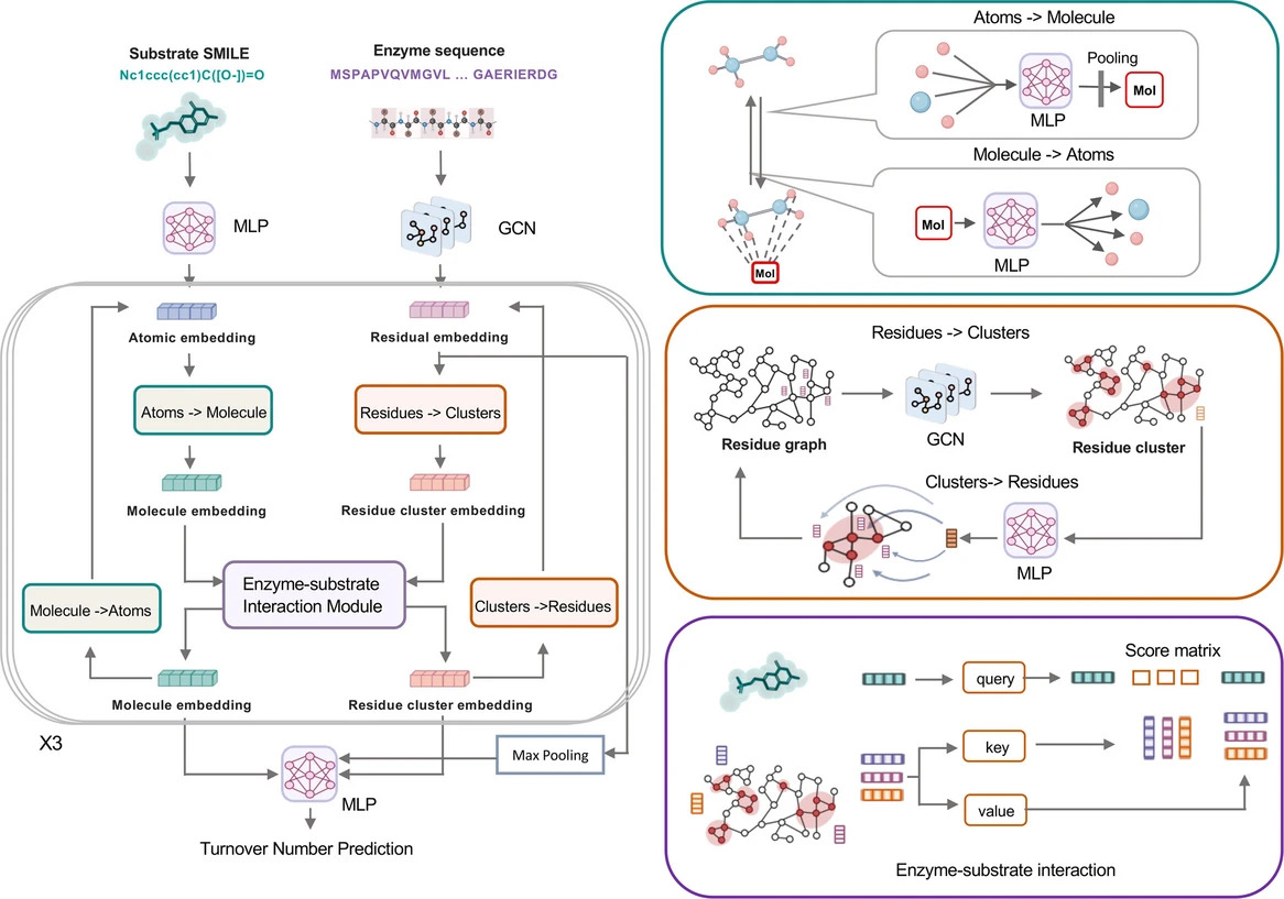 Figure 2 enzyme efficiency