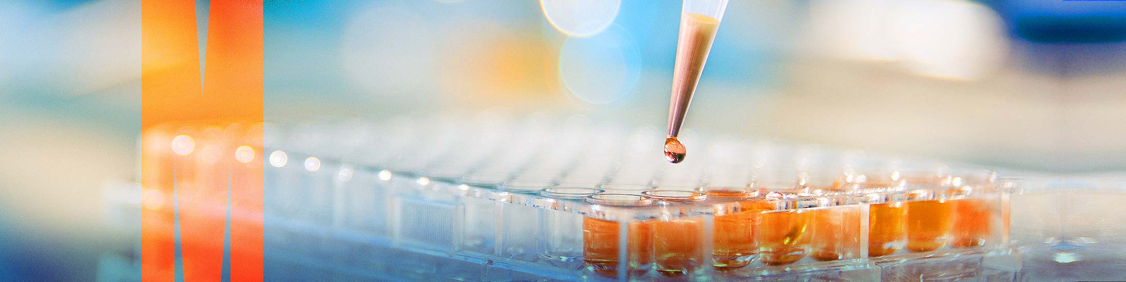 Drug discovery and development
