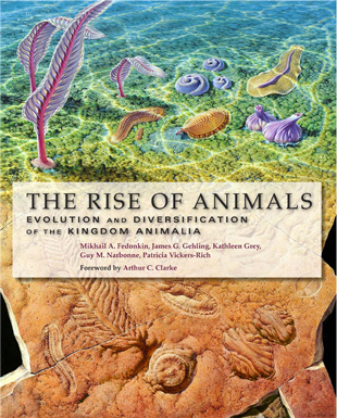 The rise of animals