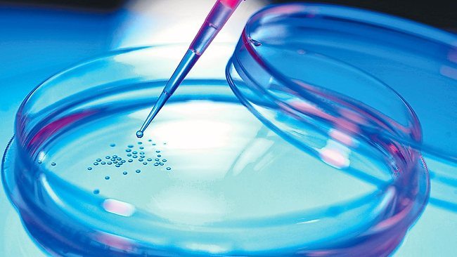 Stem Cell Tourism on Life Matters (Radio National)