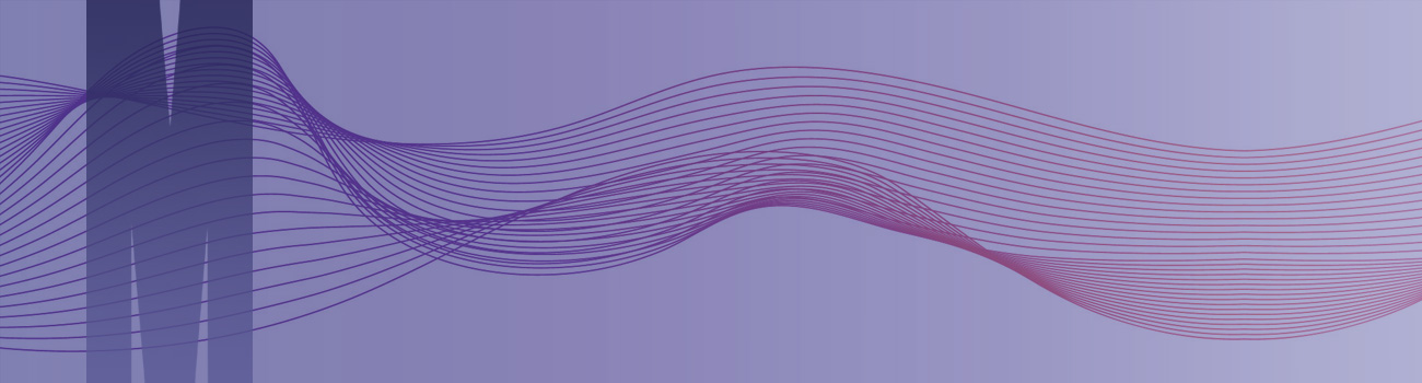decorative page banner