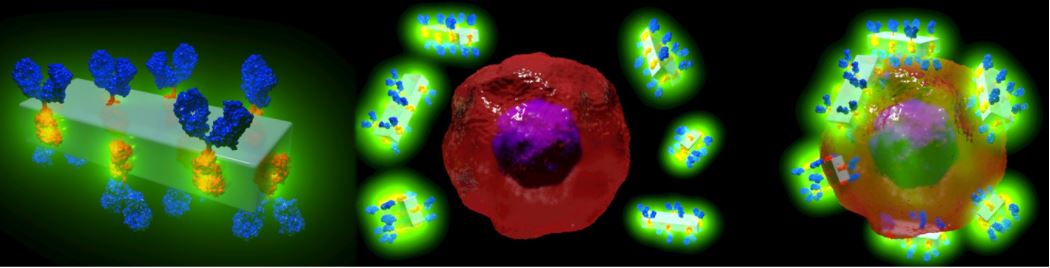 MOF crystal