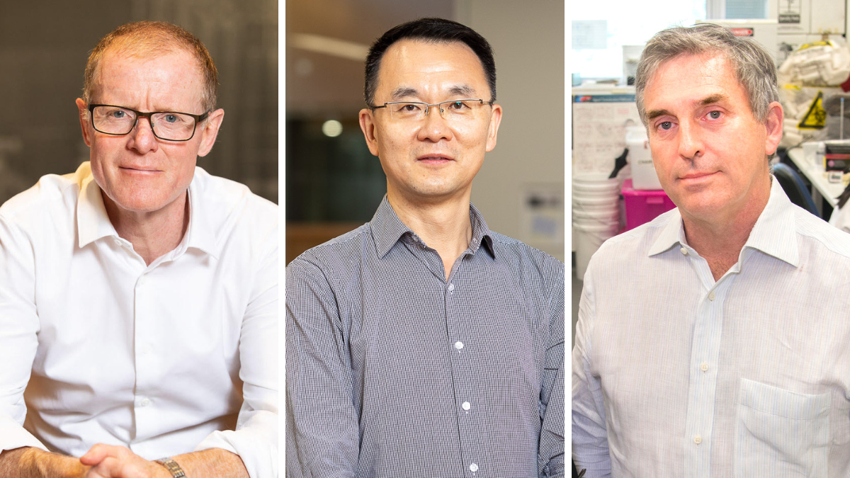 Professor Jamie Rossjohn, Professor Jian Li and Professor Charles Mackay 