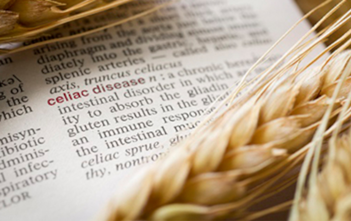 Close up of a book looking at the definition of 