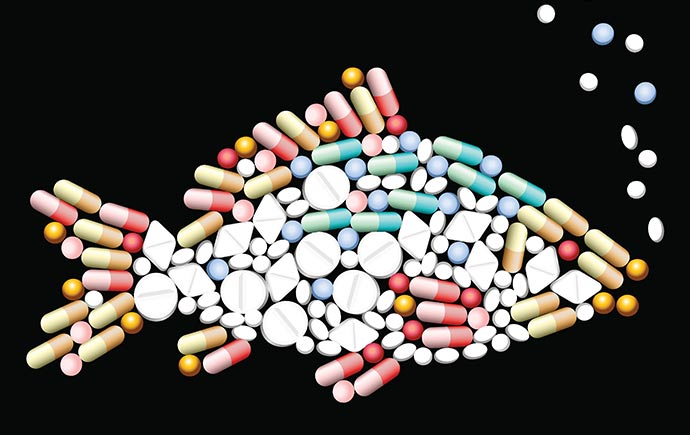 Greener Drug Design