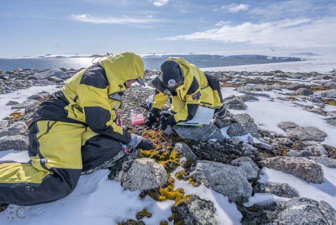 Securing Antarctica&rsquo;s Environmental Future (SAEF)