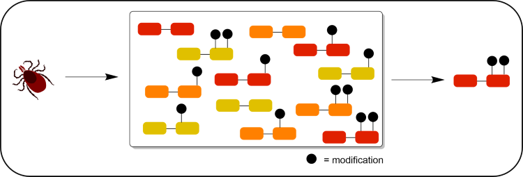 PTMS diagram
