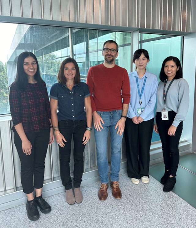 Monash BDI Organoid Program Team Members
