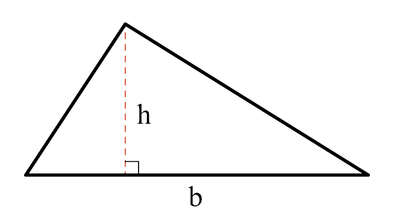 A scalene triangle with the base labelled b, and a dashed line perpendicular to the base, as marked by a right angle, that extends to the apex of the triangle labelled h