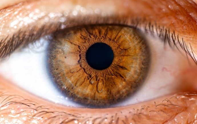 Human-eye