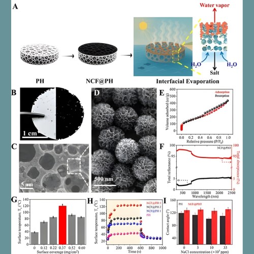 SunSpring water desalination membrane