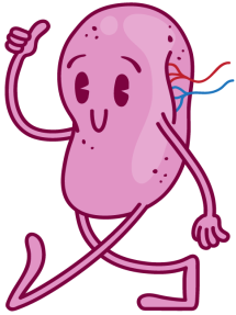 Spleen Australia logo