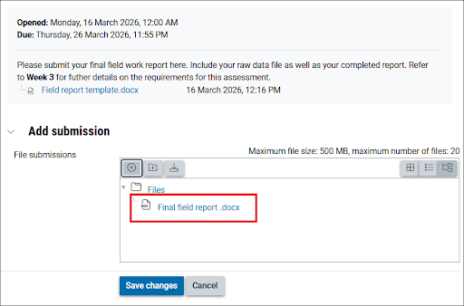 Screenshot of the file upload box on the Moodle Assignment page