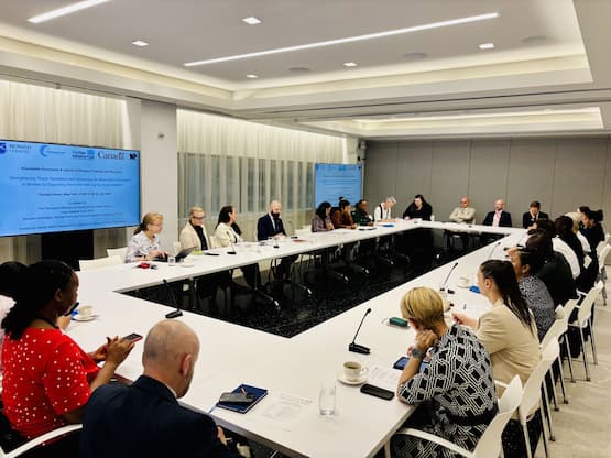 The high-level launch and roundtable discussion at the Permanent Mission of Canada to the United Nations