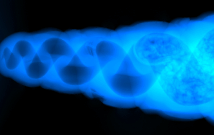 X-ray phase-contrast image of a seashell, cleanly separated from an overlapping coral sample via DSI