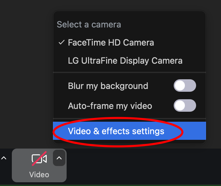 Zoom screenshot