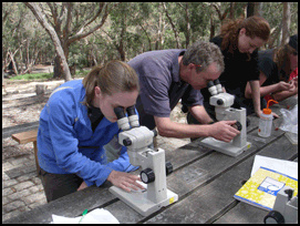 Students in Forest