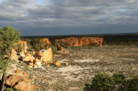Field Site, Sandstone, WA. Image: Professor Steven Chown.