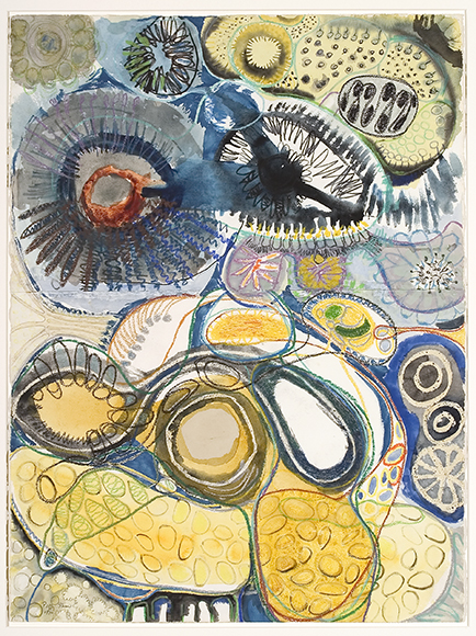 https://www.monash.edu/__data/assets/image/0011/2189756/Shaw,-Peggy-1970.22-resized.jpg