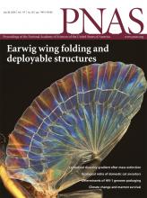 PNAS 117(30) 2020