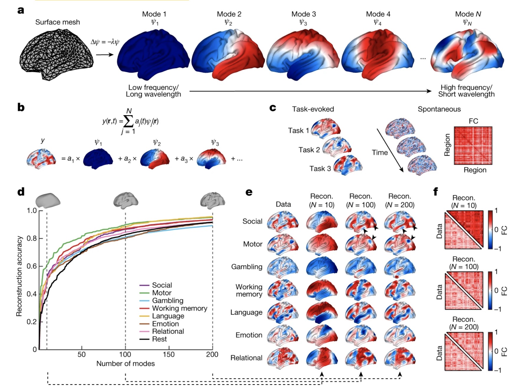 Geometric constraints on brain function image
