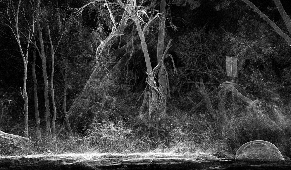Image: Ben Waters, Swamp section detail 2022, LiDAR scan. Courtesy of the artist. Image: Ben Waters, Swamp section detail 2022, LiDAR scan. Courtesy of the artist.