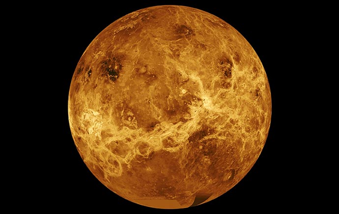 Venus 
