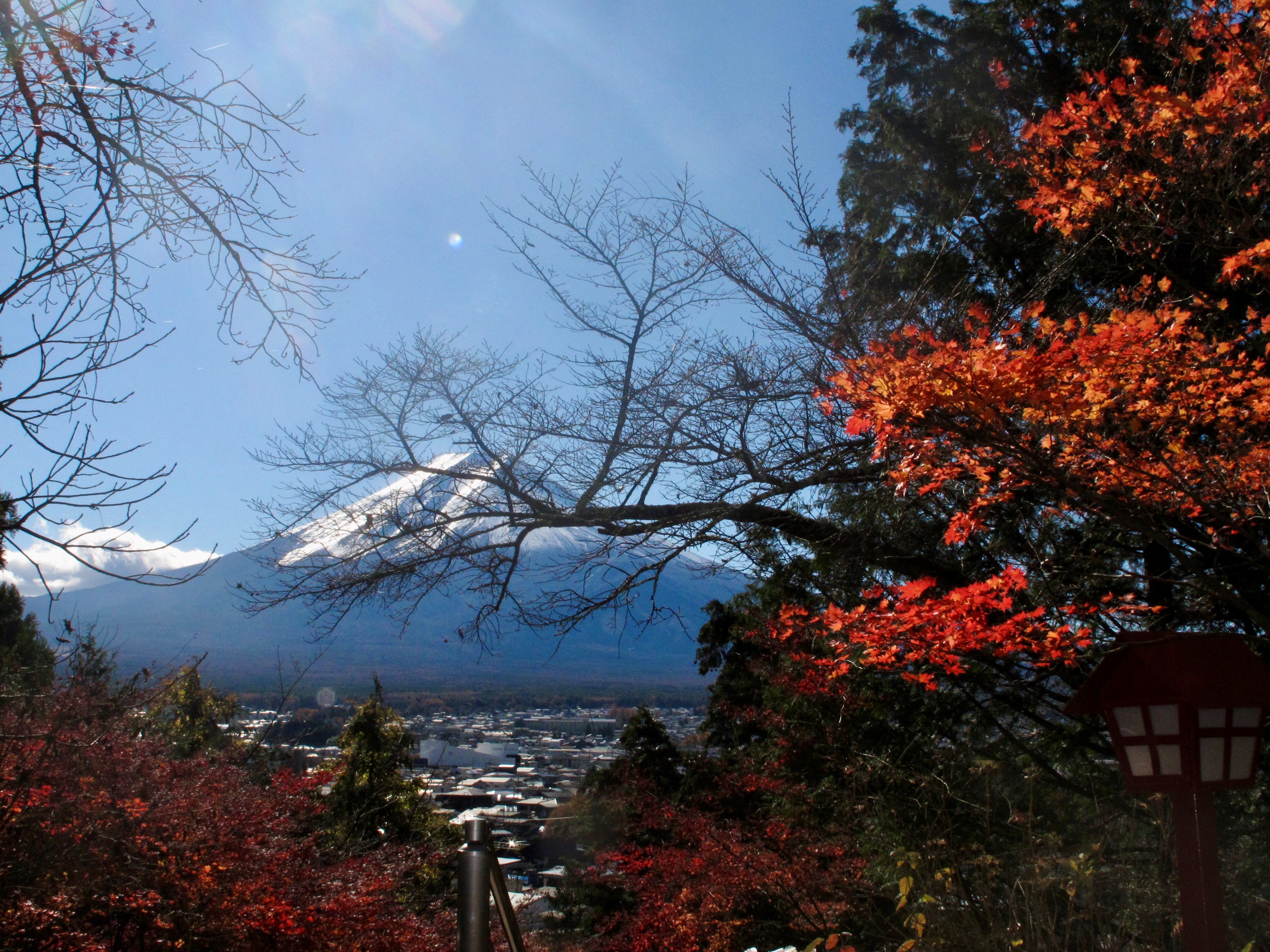 Mt Fuji in background