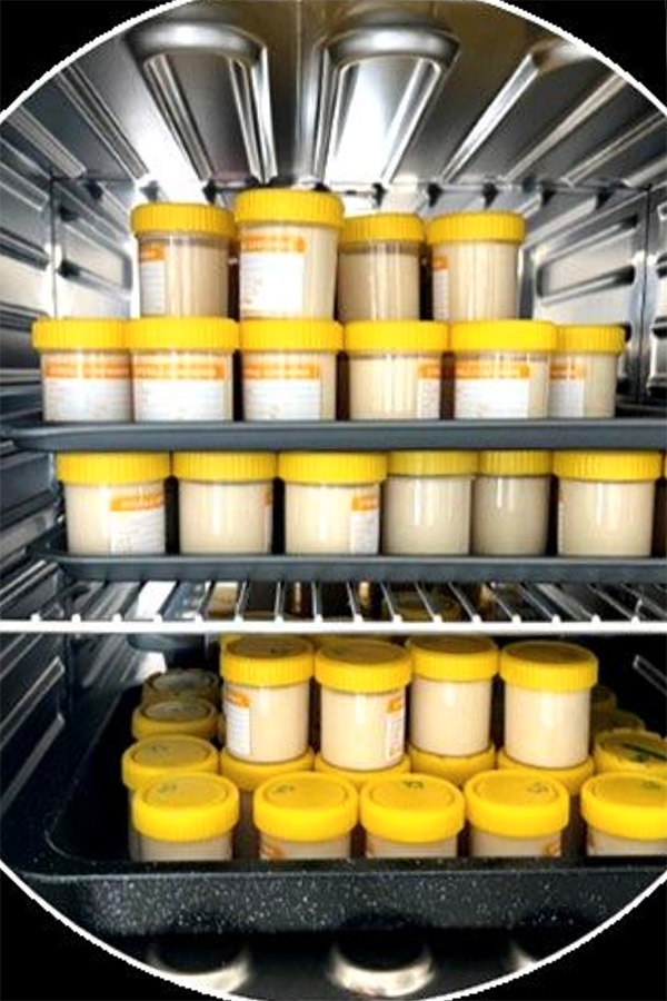 Photo of lab-cultured plant yoghurt
