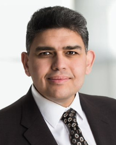 Professor Ahmed E. Hassan